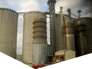 在线DDOS平台攻击